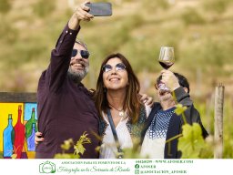 Festival Mar de Tethys 2026 - Bodega Vetas